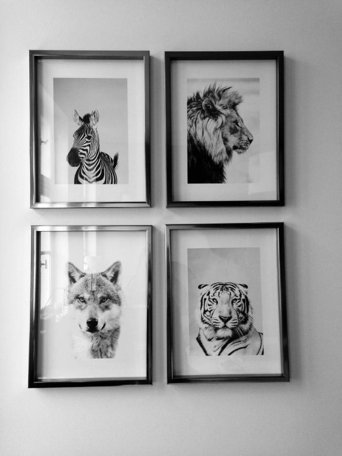 Chambre D 'Hotes Chez Manon Et Hugo Bethune Luaran gambar